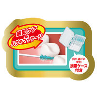 GUM(ガム) ソフトピック 歯間ブラシ やわらか ゴムタイプ ケース付き [サイズ:SSS~S 細いタイプ] 1セット(40本×2個)