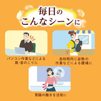 めぐりズム蒸気の温熱シート　無香料　1セット（16枚入×2箱）　花王