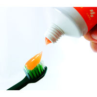 歯磨き粉 トマリナ 歯ぐきさがりが気になる方に 薬用ハミガキ ハーバルミント 90g 1セット（2本）小林製薬 歯周病予防