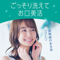 マウスウォッシュ 洗口液 口臭 モンダミン クリアミント つめかえ 大容量 1.7L 1セット（4個）低刺激タイプ 口臭対策 アース製薬