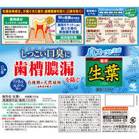 歯磨き粉 生葉 （しょうよう） 息スーッと実感タイプ 歯槽膿漏を防ぐ 薬用ハミガキ しつこい口臭に 100g 1セット（2本）小林製薬