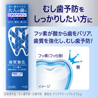 クリアクリーン プレミアム 薬用ハミガキ 100g 1セット（3本） 花王 歯磨き粉 虫歯・口臭予防