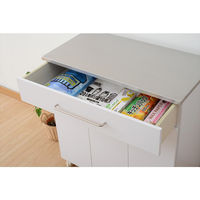 YAMAZEN　ステンレスダストボックス　3分別　14L　幅705×奥行357×高さ734mm　ホワイト　（直送品）