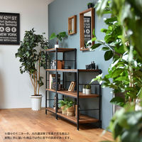 B.Bファニシング ZAGA 天然木棚板ラック 幅900x奥行350x高さ825mm（直送品）