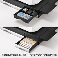 サンワサプライ　プリンタステーション　MR-PS2N　（直送品）