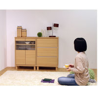 白井産業 ネオスタ ナチュラル色のコンパクトキャビネット ガラス扉タイプ（直送品）