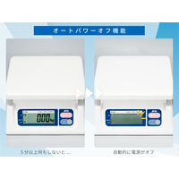 取引証明用（検定付）デジタルはかり SK2000i-A5＜地区5＞≪ひょう量:2000g 最少表示:2g≫ エーアンドデイ（直送品）