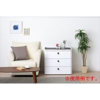 サンカ ロイヤルドロアー チェスト 3段 幅725X奥行410X高さ675mm アースホワイト RD-723WH/DBR 1台　（直送品）