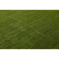 タカショー　敷くだけ人工芝　300×300　1セット（18枚入り）　（直送品）