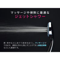 カクダイ ガオナ シャワーヘッドとホースのセット 4段切替 空気を含んだ泡状のシャワー 節水 掃除 やさしい浴び心地 GA-FH014 1個