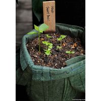 未来アグリス　PD COLLECTION　ふかふか培養土+ルーツポーチ　12L　グリーン　　　　（直送品）