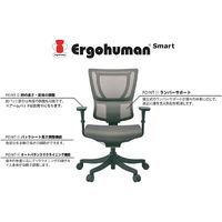 エルゴヒューマン スマート オフィスチェア 3Dファブリックメッシュ 肘無し ブラック/KMD31 EHS KMD31 BK 1脚