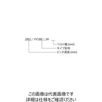 ゲイツ・ユニッタ・アジア パワーグリップEVベルト EV14M 1540ーEV14Mー85 1個（直送品）