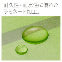 プラス 背幅伸縮FセノバスEX A5E GR FL-042SL  1セット（2冊）（直送品）