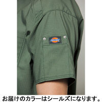 フォーク スクラブ シールズ S 7045SC-7-S 1枚　スクラブ（直送品）