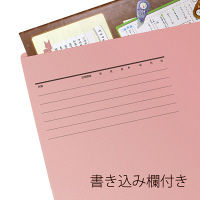 プラス 個別フォルダー PK FL-021IF  1セット（10枚）（直送品）