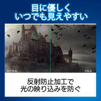 Nintendo Switch専用 液晶フィルム ブルーライトカット 衝撃吸収 反射防止 GM-NSFLPSBL エレコム 1個（直送品）
