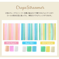 【regalo】 リトルストリームパーティセット 【ブルーミント】 飾り付け 誕生日 百日祝 LSPS-BM 1セット（直送品）