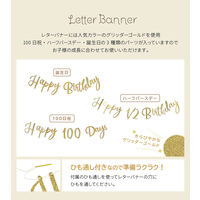 【regalo】 プチフルールパーティーセット 【ミルキーピンク】 誕生日 飾り付け 風船 PFPS-MP 1セット（直送品）