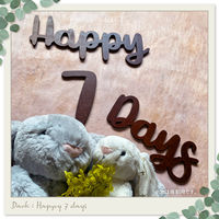 【regalo】 ウッドマンスリーレターバナー 【ダーク】 木製バナー 記念写真 WMLB-SW-DK 1セット（直送品）