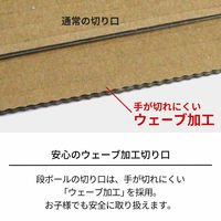 天馬 フィッツ クラフトケース 引出式 小物(A4) 814000001 1個