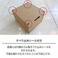 天馬 フィッツ クラフトケース 引出式 多目的(A4) 814000002 1個