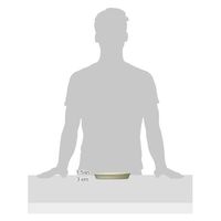 大和プラスチック フレグラープレート 24型用 アイボリー 4903266721084 1個（直送品）