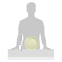 大和プラスチック フレグラープレート 30型用 アイボリー 4903266721121 1個（直送品）