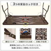 三栄コーポレーション 屋外利用、水洗い可能 ラタン調 折りたたみガーデンテーブル・チェア 7点セット A1--MKT180TBL7S_AS（直送品）