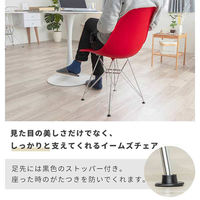 三栄コーポレーション イームズチェア スチール脚 4脚セット　グレー A1--PROCHR4STGY_AS　１セット(４脚）（直送品）