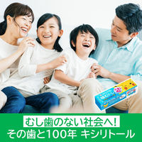 キシリトールガム噛むトレ＜ビリビリサイコソーダ＞ 15個 ロッテ ガム ポケモン