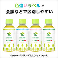 伊藤園 お茶体験 緑茶 200ml 1セット（60本）  お茶 小容量 ペットボトル 【接客】