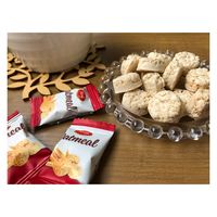 「業務用」エスエスビー オートミール ミニバイト 250g×2個4562470475024 1箱(2個)（直送品）