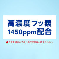 歯磨き粉 フッ素 クリニカPRO オールインワン ハミガキ フレッシュクリーンミント 高濃度フッ素配合 95g 1本 ライオン