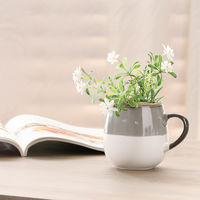 ５８０ｍｌ　ツートンビックマグ　アリビオ　ＬＧＹ 77496 1箱（6個入り） 不二貿易（直送品）