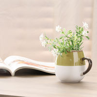 ５８０ｍｌ　ツートンビックマグ　アリビオ　ＧＲ 77499 1箱（6個入り） 不二貿易（直送品）