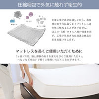 【軒先渡し】友澤木工 圧縮ロールポケットコイル マットレス 片面 幅970×奥行1950×高さ160mm マットレス：ホワイト 1本（直送品）