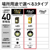 パナソニック LED電球 一般電球タイプ E26口金 40形 温白色 広配光タイプ 2個入 LDA4WWGK42T 1パック