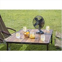 クラシコスタンド扇風機（AC蓄電） 81336704 1台 LOGOS/ロゴス