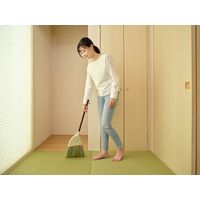 山崎産業 デイリークリーン 座敷箒 短柄 15340000020000 1本