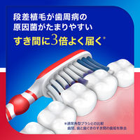 シュミテクト 歯周ダブルケアEX ハブラシ レギュラー ふつう 歯周病ケア 1セット（12本）Haleonジャパン