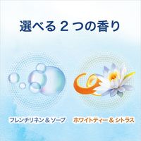 ファブリーズ 芳香剤玄関用 消臭+抗菌 ホワイトティー&シトラス 詰替入り本体ケース 1個 P＆G