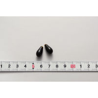 セサミンDX  約30日分(60粒入り)【小林製薬の栄養補助食品】 1個