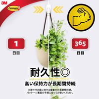 スリーエム(3M) コマンド フック 壁掛け 傷つけ ない きれいにはがせる ジャンボ 耐荷重3.5kg 1パック CM12N