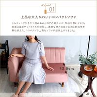 ホームテイスト リルゥ インテリア ソファ 片肘2人掛け 幅1120mm ピンク＆ブラウン SH-07-OKEL2P １台（直送品）