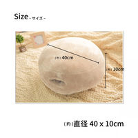 10枚 お手手ぽかぽか ブラウン 手 冷え性 クッション おしゃれ かわいい 冬 暖かい 節電対策 便利 車中泊 アウトドア（直送品）