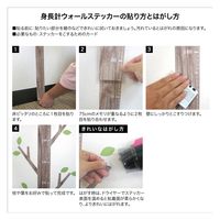 マッチングジャパン ウォールステッカー 身長計 モダンシリーズ「木の身長計/木目グレー」 CO-10094-AS 1枚（直送品）