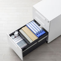 サンワサプライ キャビネット 幅390×奥行534×高さ600mm ホワイト SNW-106W 1台（直送品）