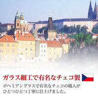 コモライフ ガラス製かかとやすり NudiFeet 218045 1個入（直送品）