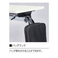 【軒先渡し】ニシキ工業  教育施設用テーブル  幅650×奥行450×高さ720mm  ペールウッド  APJ-B6545D-PL  1台（直送品）